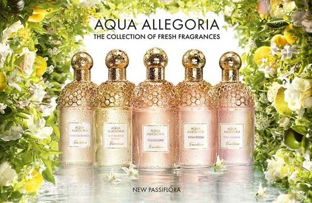 Discover the Enchanting Aqua Allegoria