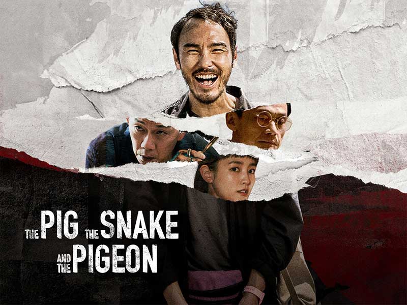 the pig the snake and the pigeon movie
